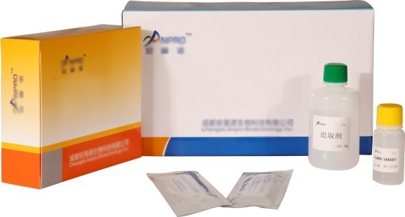 嘔吐毒素定量檢測試劑盒